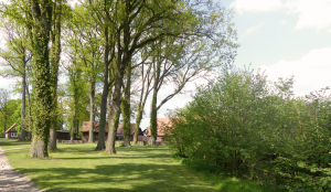 Hundepension Bassel - Umgebung