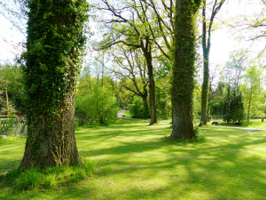 Hundepension Bassel - Umgebung